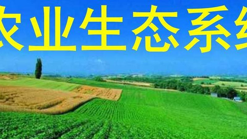 水培设备批发哪家好