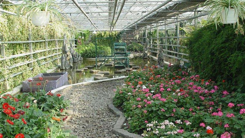 屋顶农业种植怎么选土
