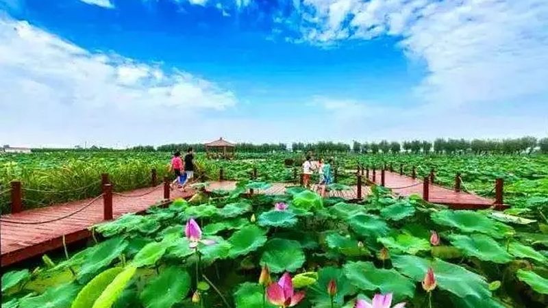 生态农业补贴申请书：如何撰写一份合格的申请**