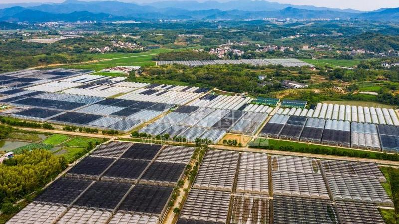 智慧农业解决方案：构建未来农业的基石
