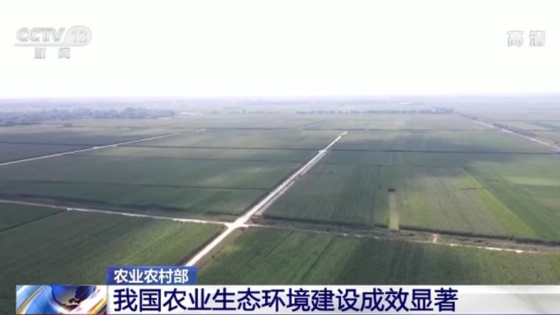 上海有机蔬菜配送公司排名