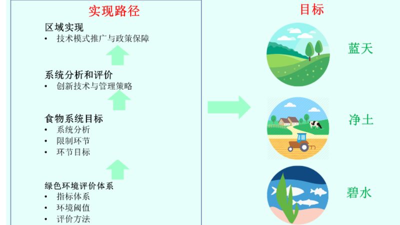 揭秘杭州绿色食品企业排行榜背后的秘密