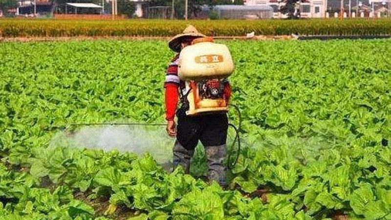 广州农资批发：小型种植户如何精准选择？**