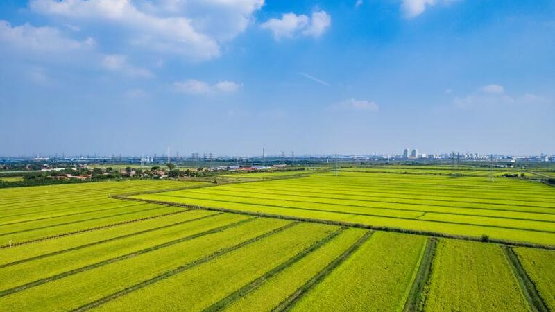 农业用水计量设备：精准灌溉的守护者**