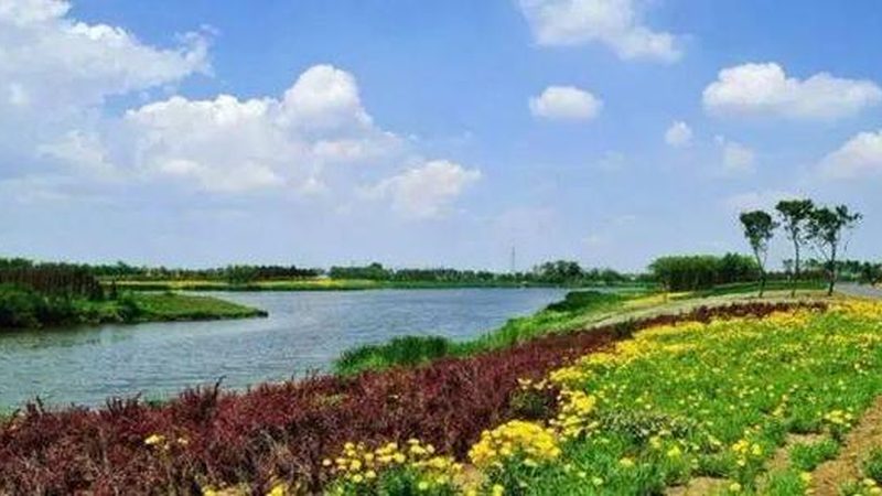 农民专业合作社：构建高效运营模式的秘诀