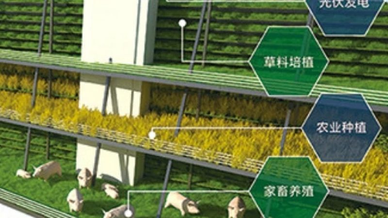 生态农业观光园设计方案：打造绿色旅游新亮点