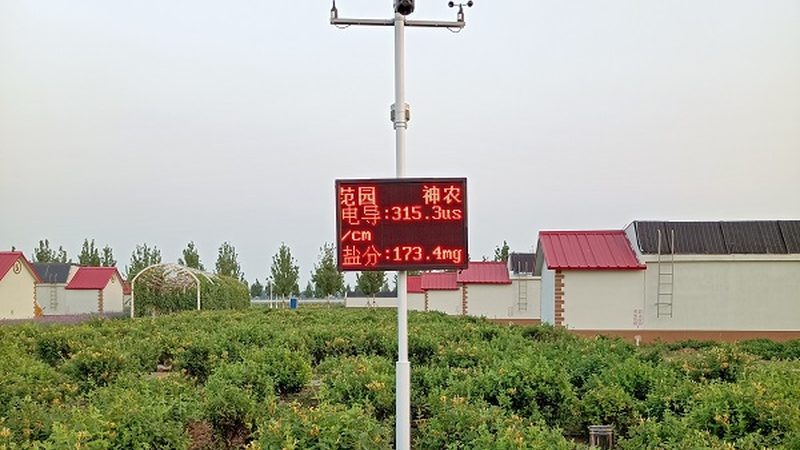 农业项目对比分析：关键参数与评估要点**