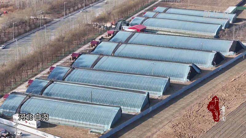 智慧农业崛起：揭秘十大品牌背后的科技力量