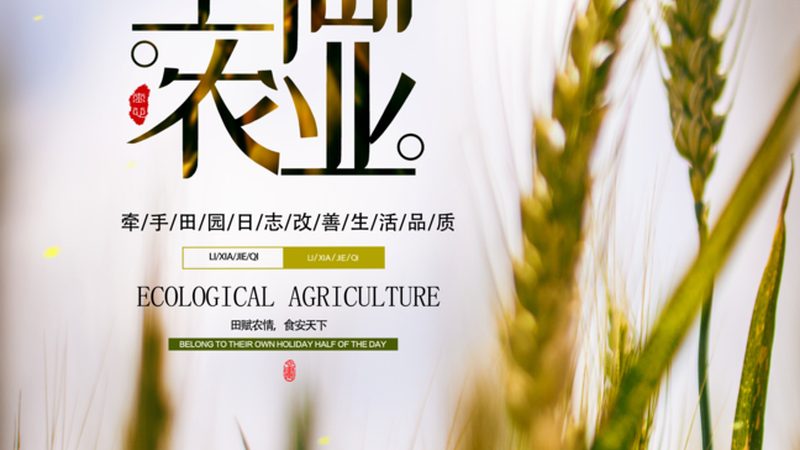 山东设施农业公司排名，揭秘行业佼佼者**